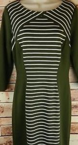 Antonio Melani (Army Green) Dress w/ Stripes
